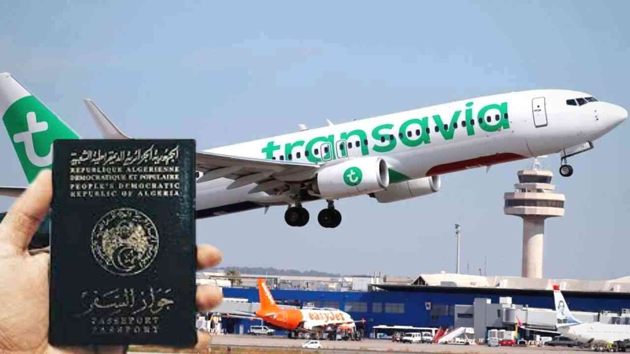 أسعار تذاكر ترانسافيا Transavia