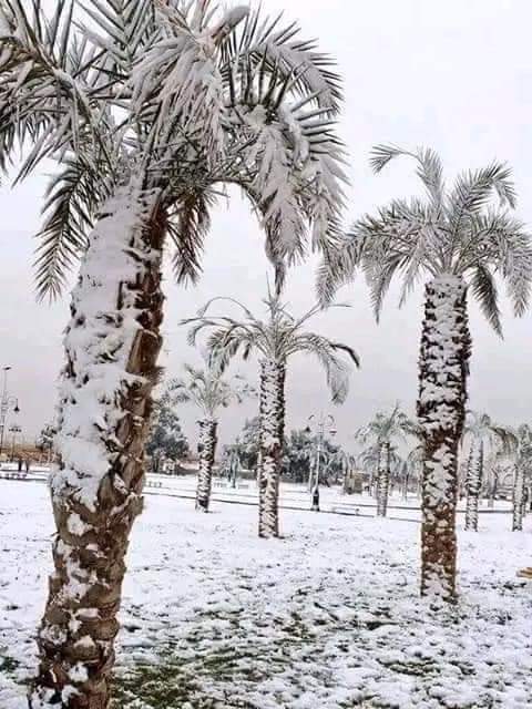 الثلوج حاضرة في بشار