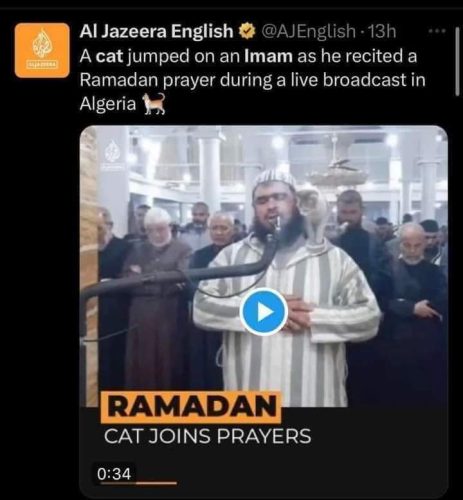 فيديو الإمام الجزائري والقطة يتخطى مليار مشاهدة
