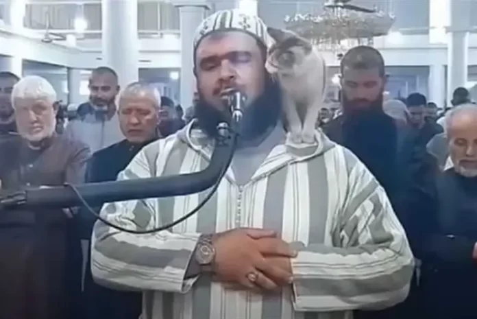 فيديو الإمام الجزائري وليد مهساس